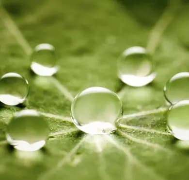 Auxiliary components